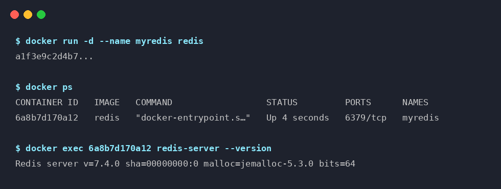вивід команди docker exec у терміналі