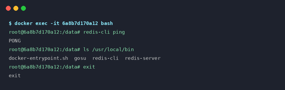 інтерактивна оболонка bash у docker exec